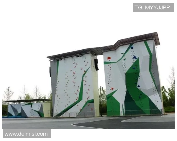 重庆极限运动队荣登全国极限运动意识排行榜第八位引发关注